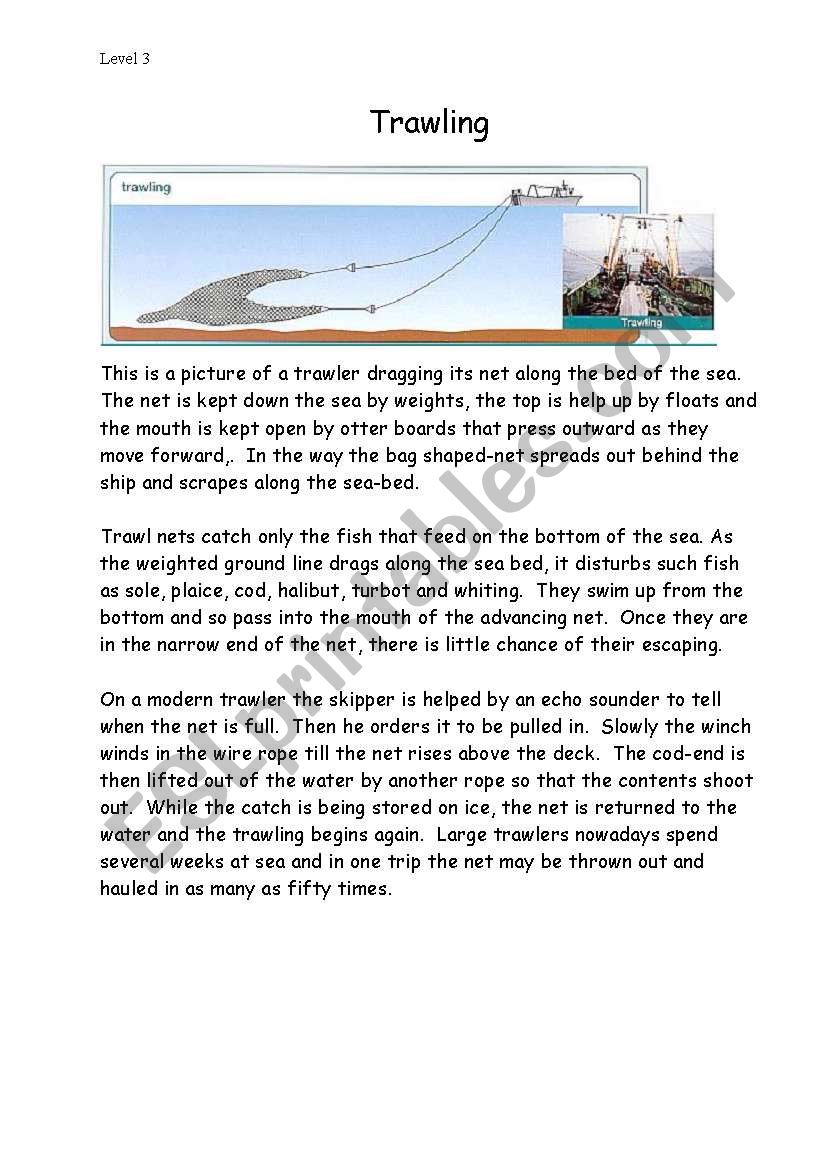Trawling worksheet