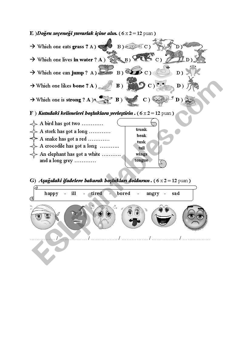 6th grade 2nd term 2nd exam paper part2