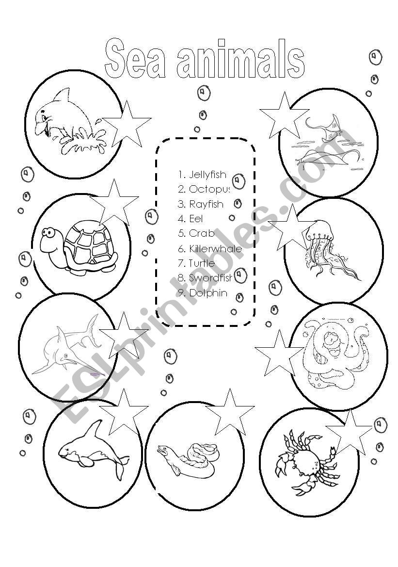 Sea animals worksheet