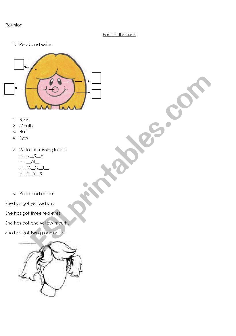 parts of the face  worksheet