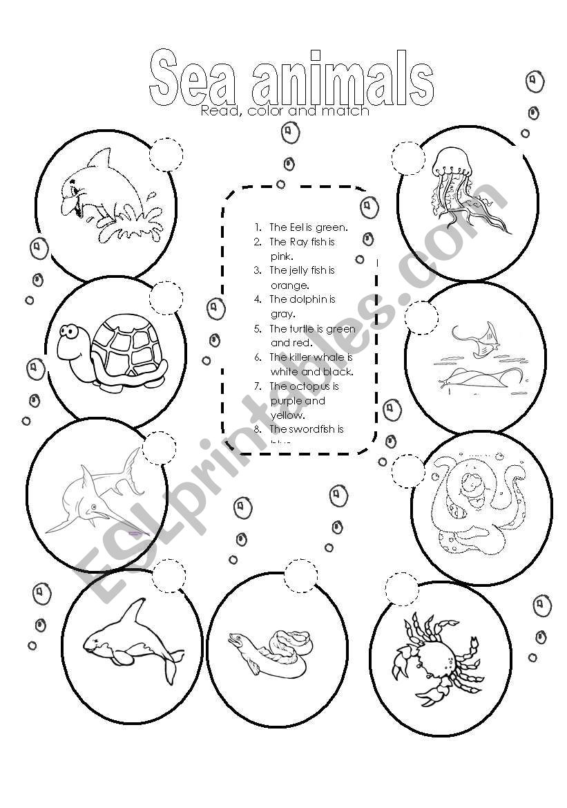 Sea animals worksheet