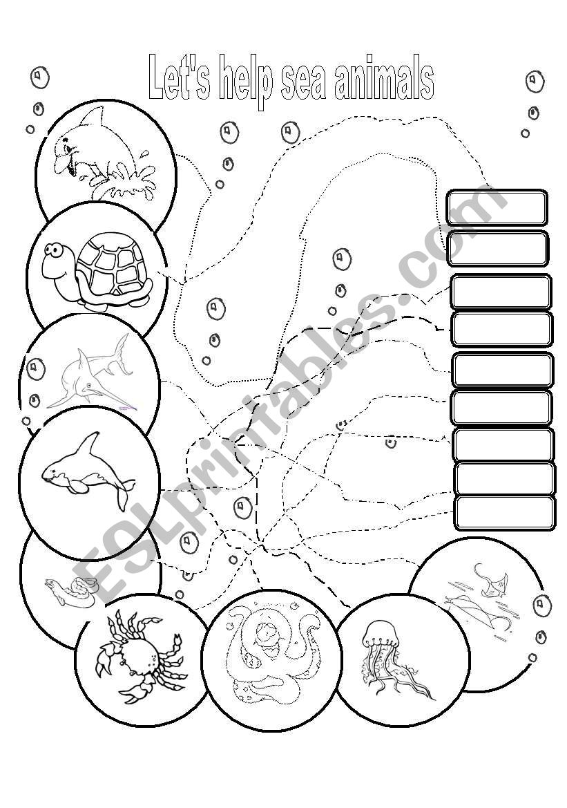 Sea animals worksheet