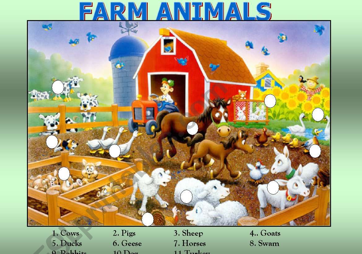 Farm Animals worksheet