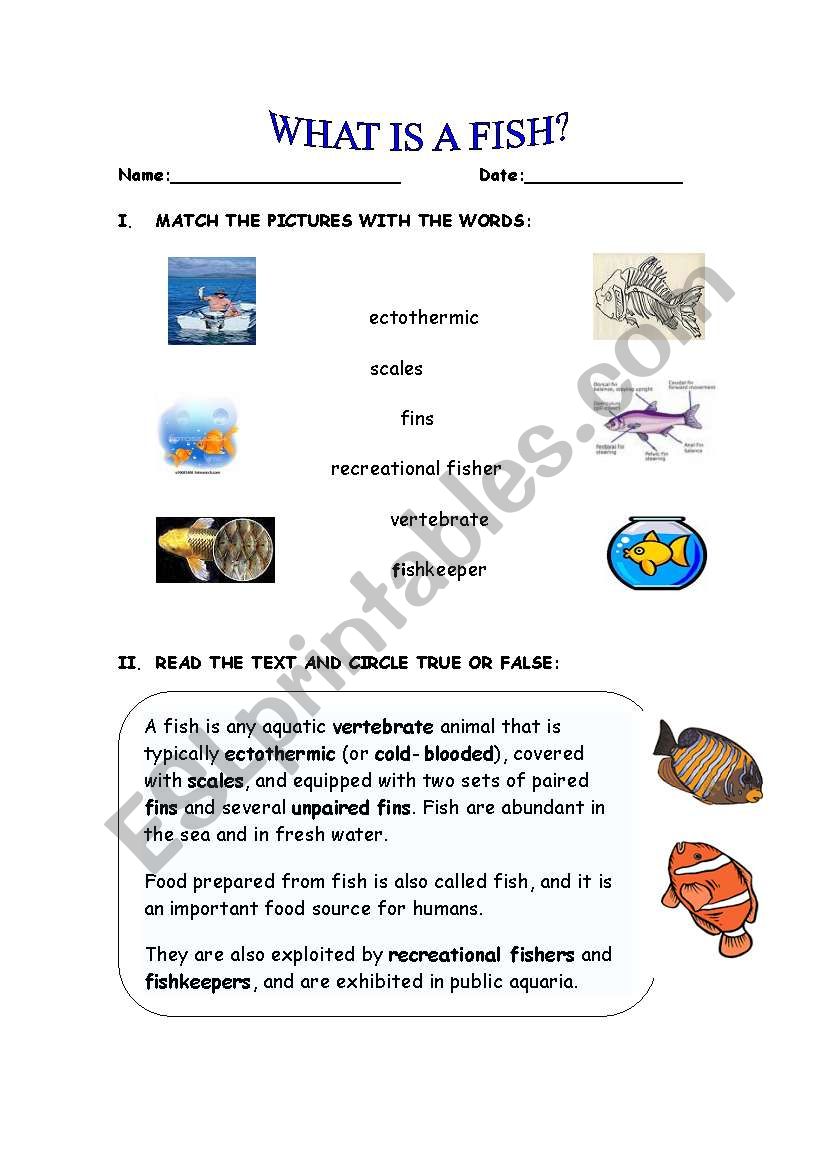 What is a fish? worksheet