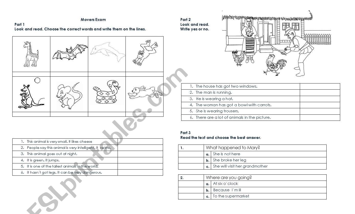 Movers exam worksheet