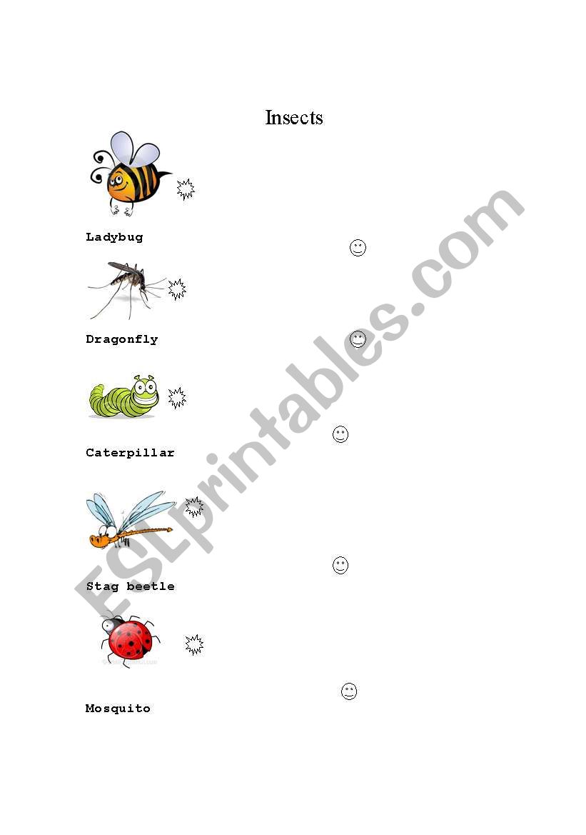 Insect matching worksheet