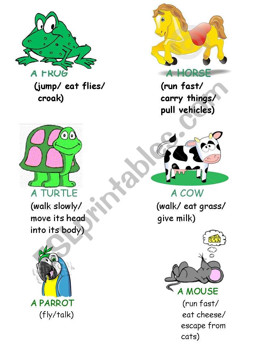 guess animals? worksheet