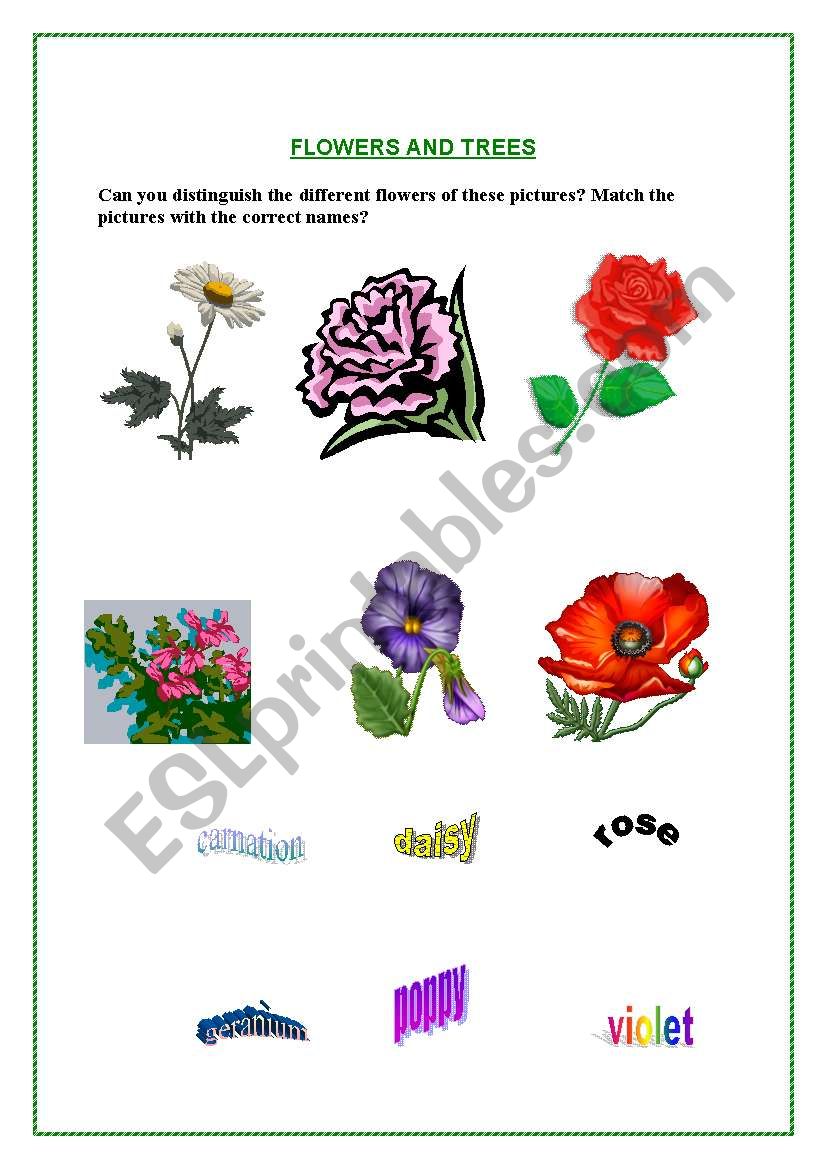 Flowers and trees  worksheet