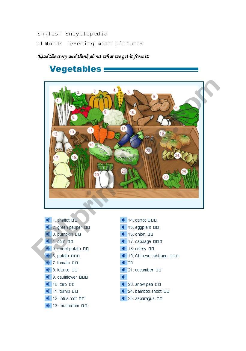 Vegetables in English worksheet