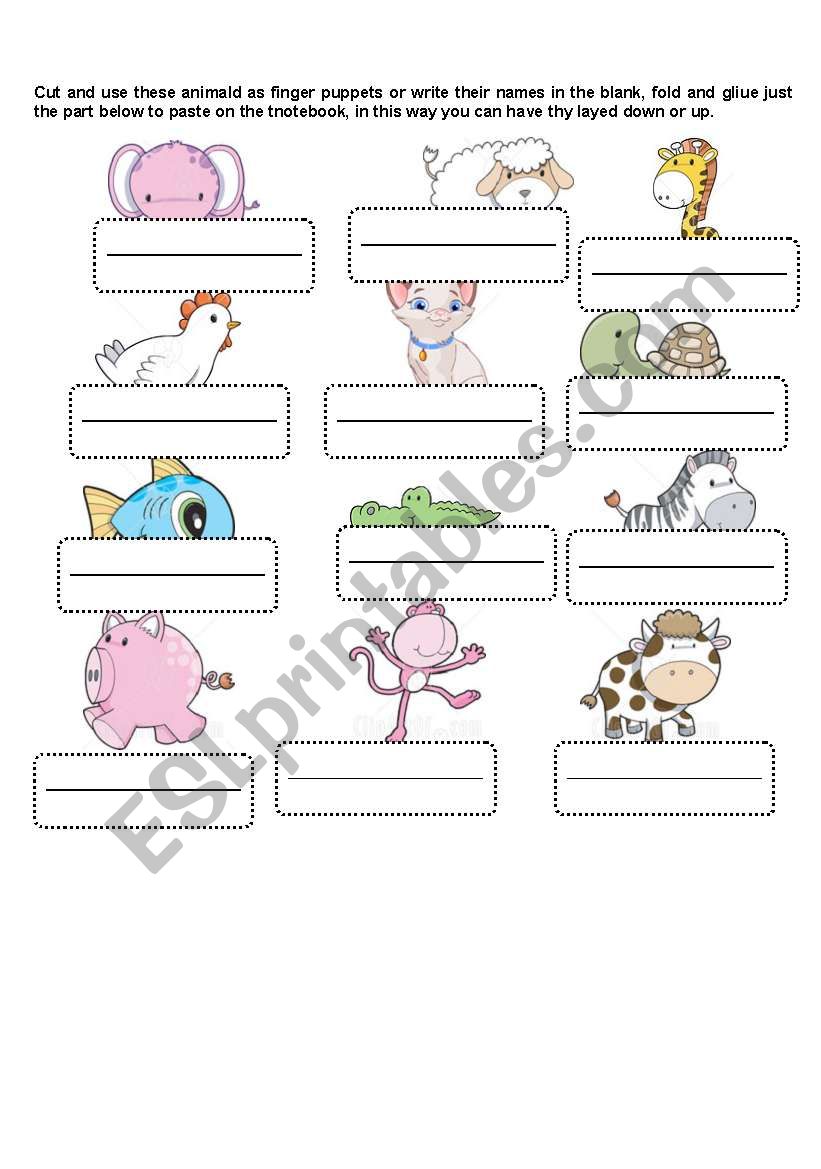 Animals worksheet