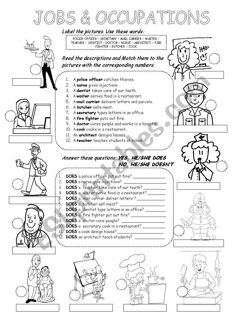 JOBS & OCCUPATIONS worksheet