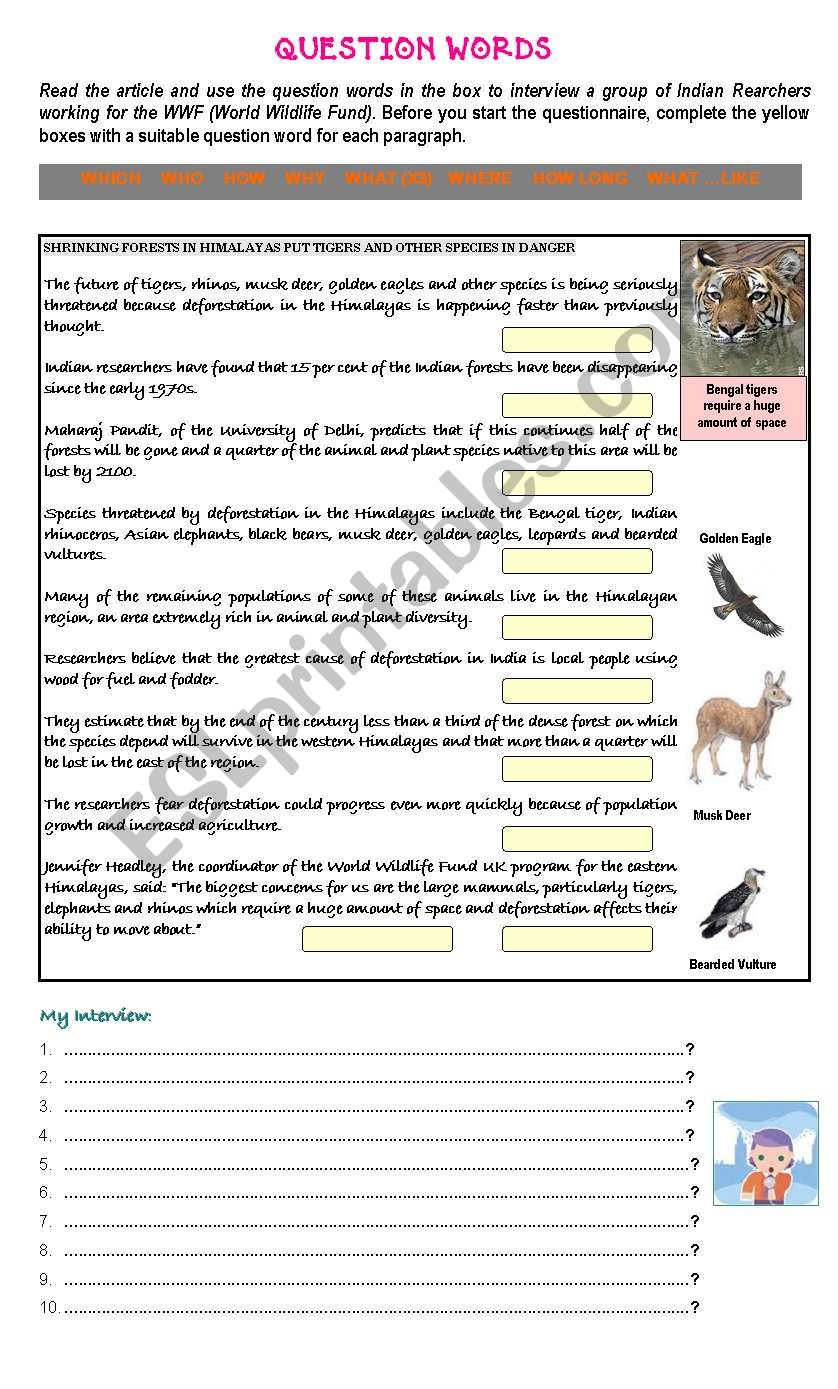 READING COMPREHENSION & GRAMMAR EXERCISE