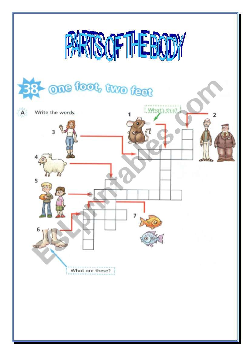 body parts revision! worksheet