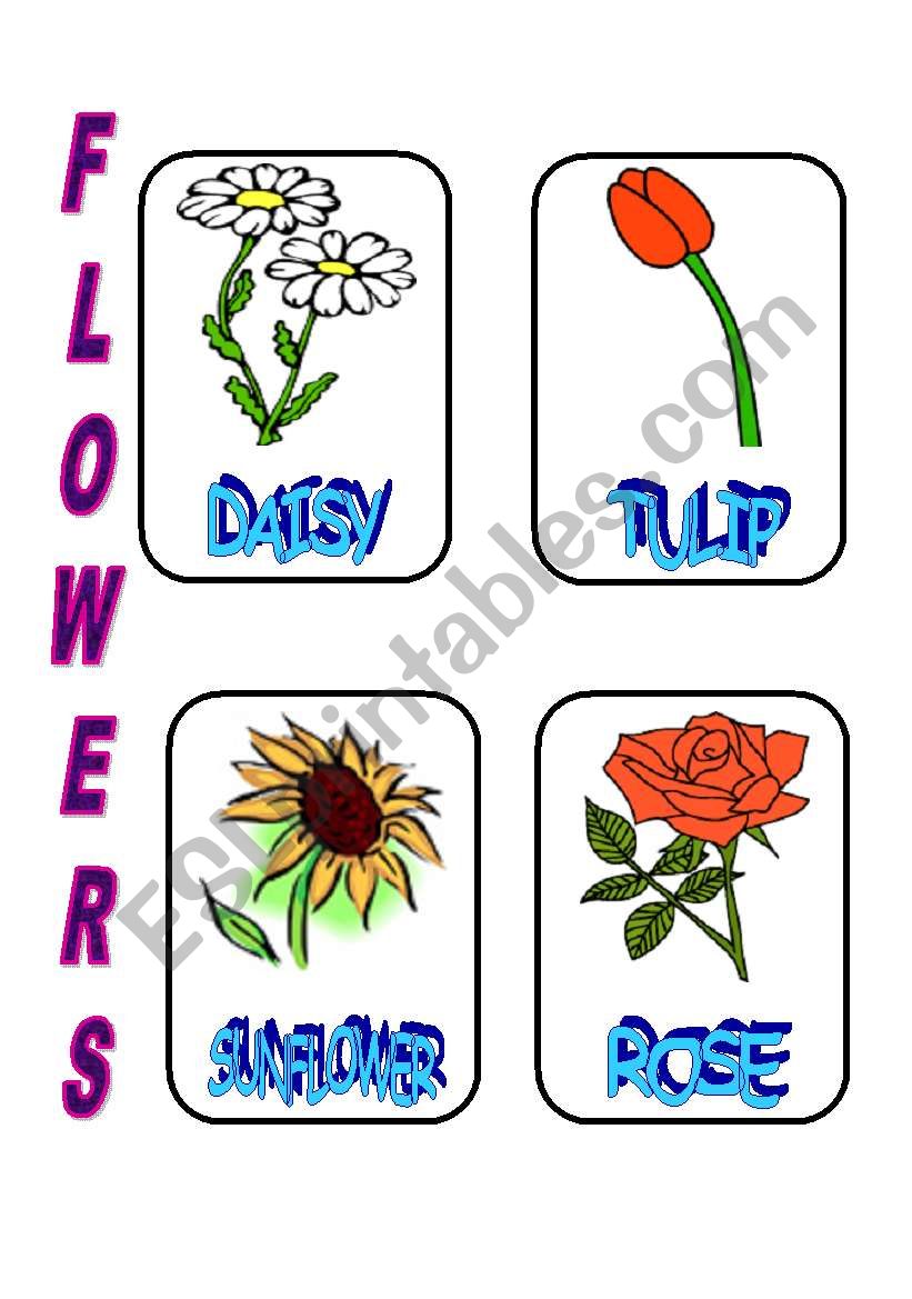 FLOWERS 1 worksheet