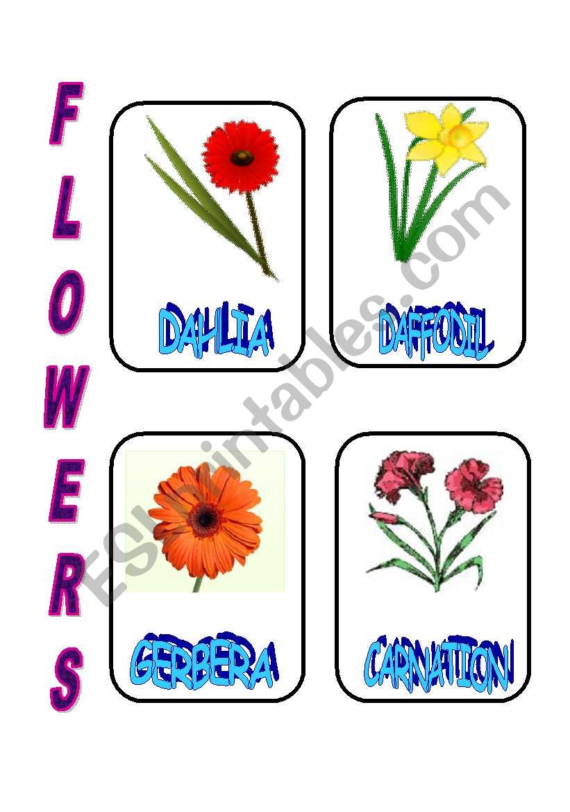 FLOWERS 2 worksheet