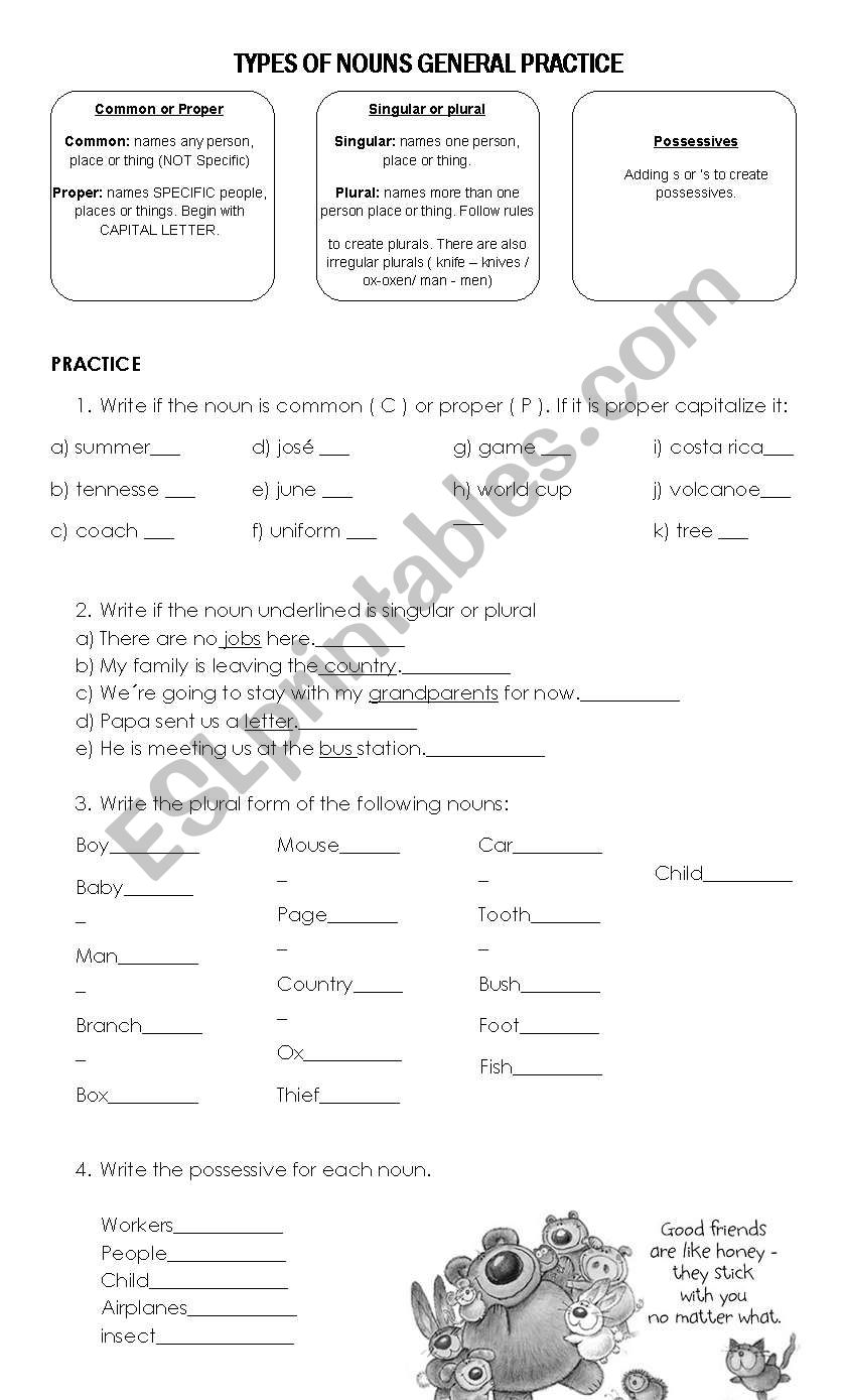 Types of nouns  worksheet