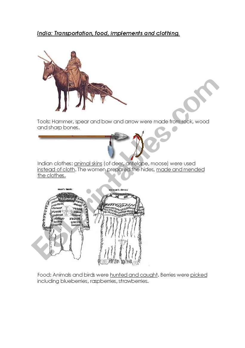 native indians worksheet