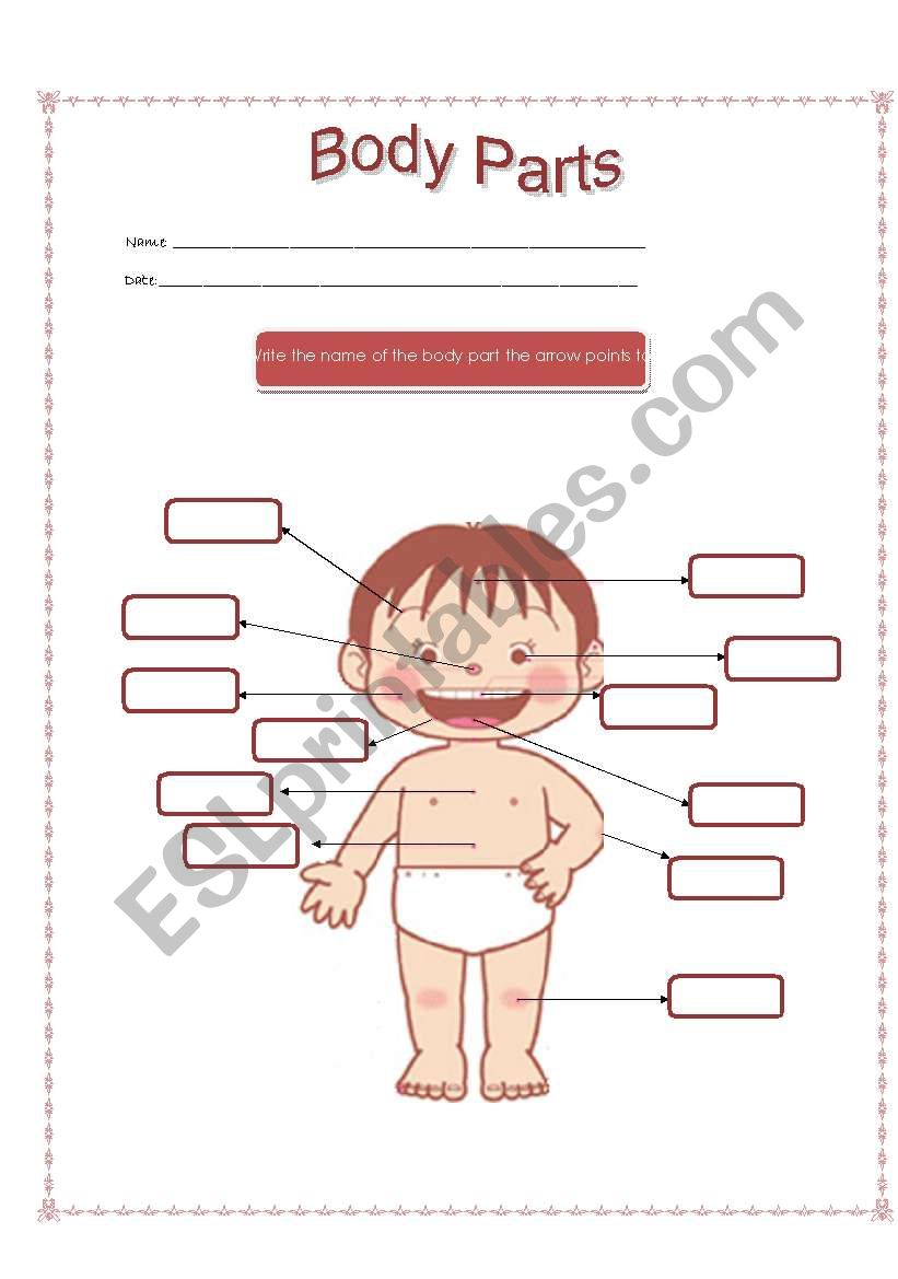 Coulored Parts of the body worksheet