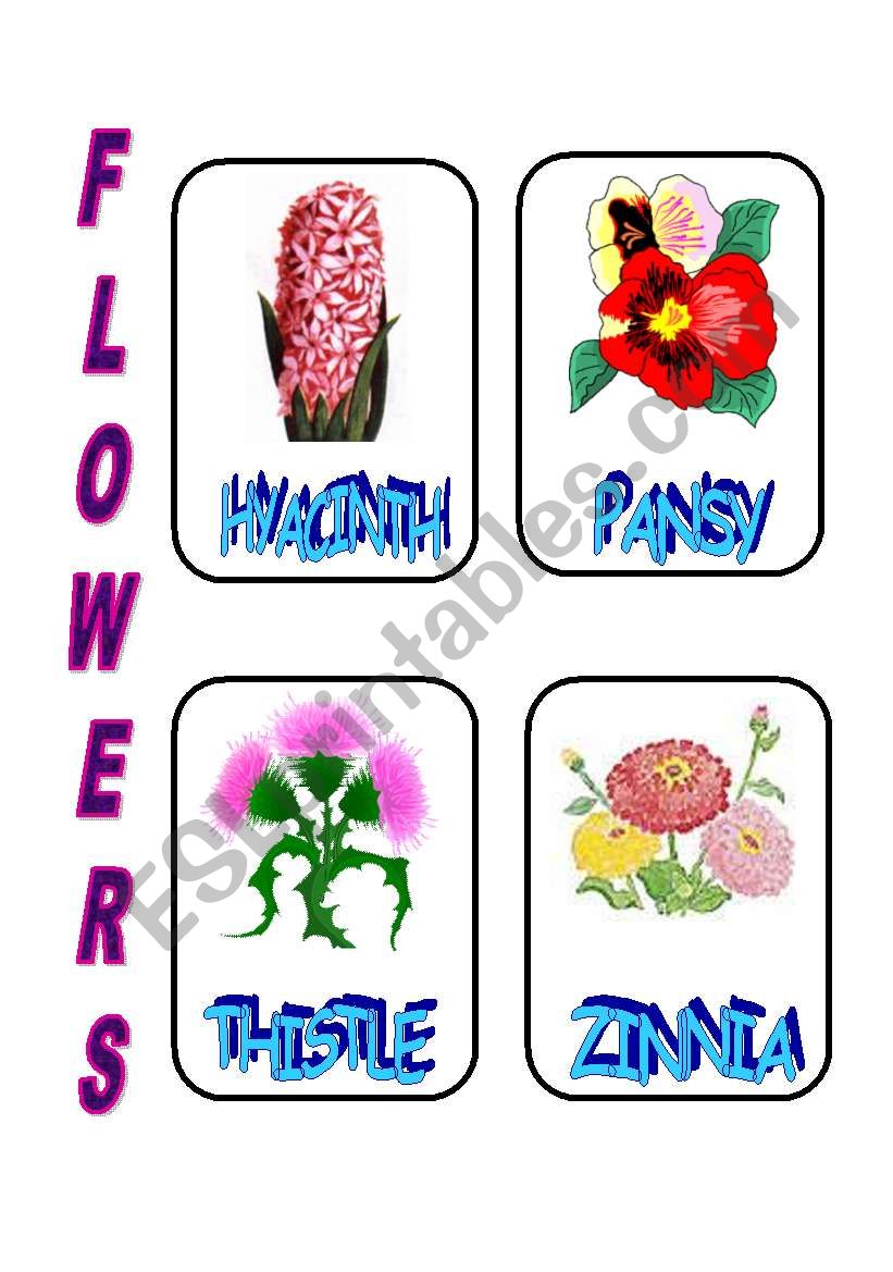FLOWERS 3 worksheet