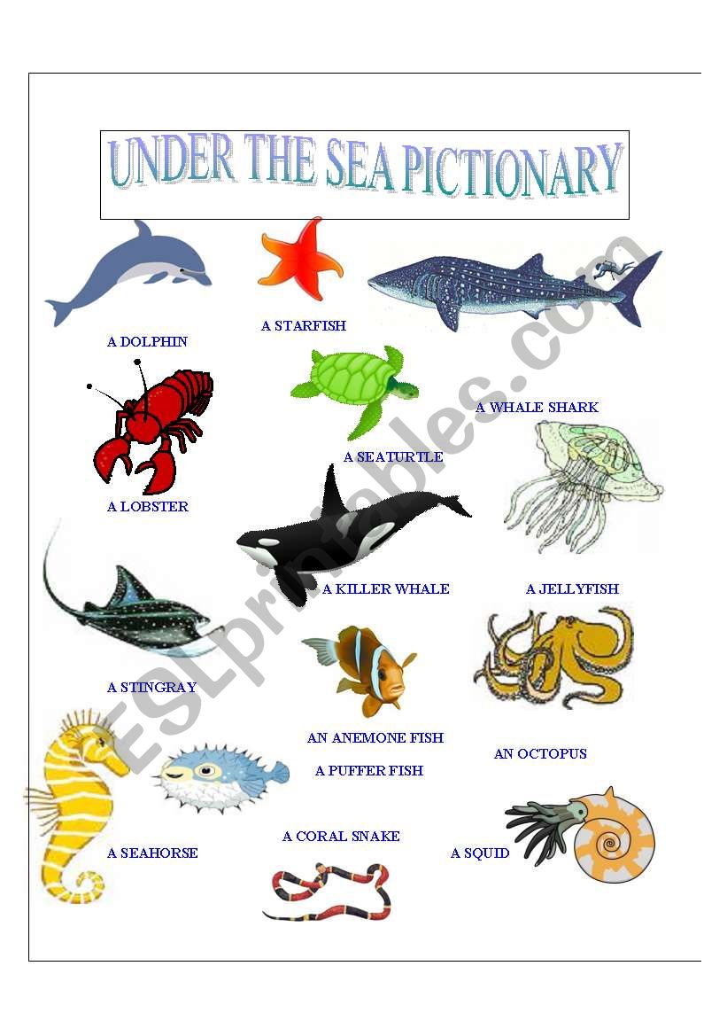 Under the Sea  worksheet