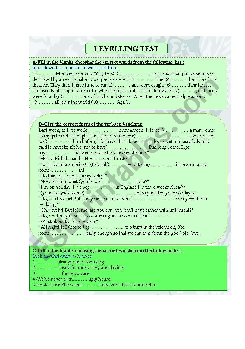 Levelling Test worksheet