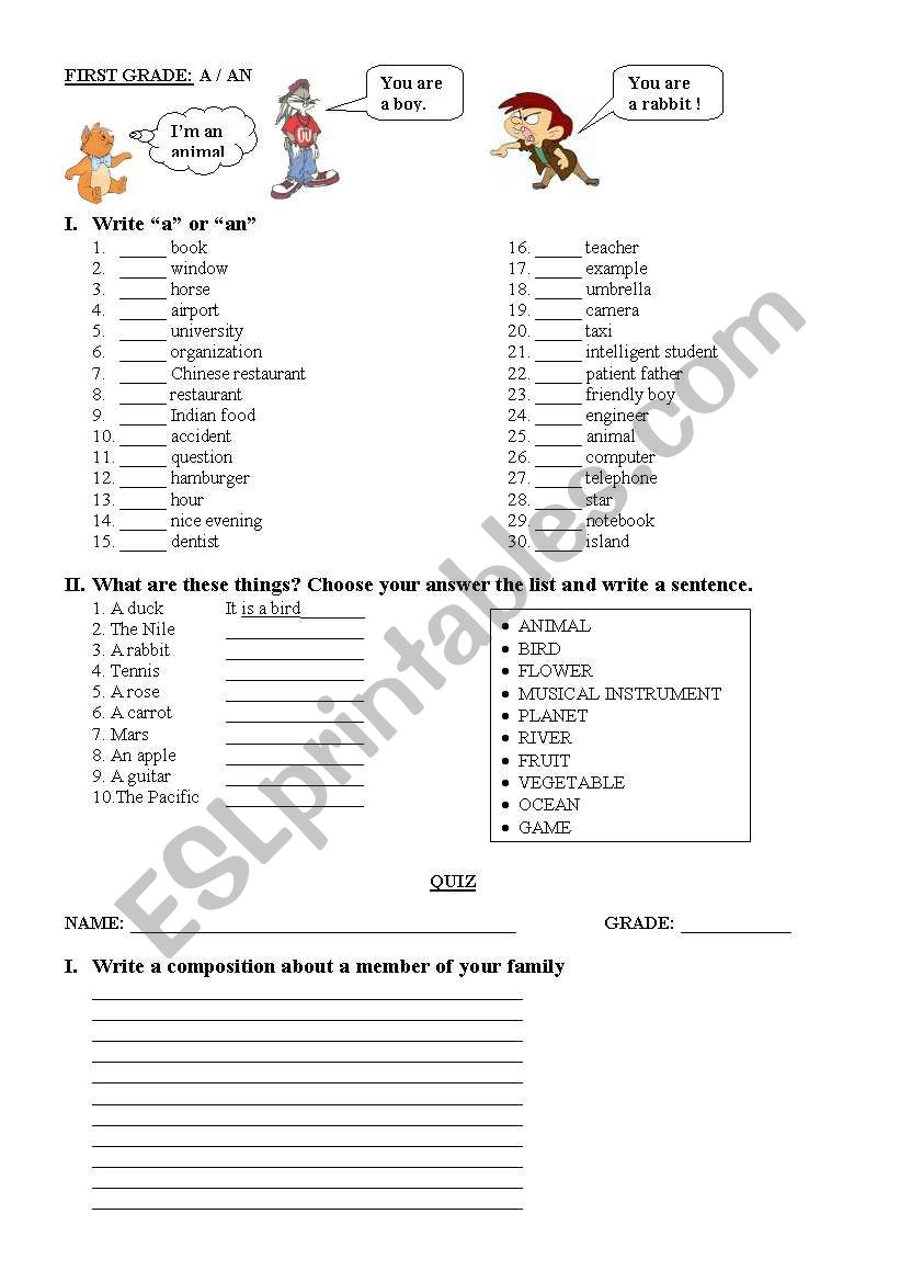 INDEFINITE ARTICLE A AN  worksheet