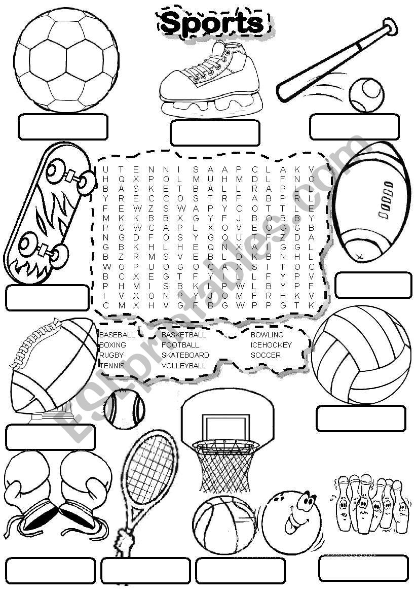 SPORTS WORDSEARCH and FILL IN worksheet