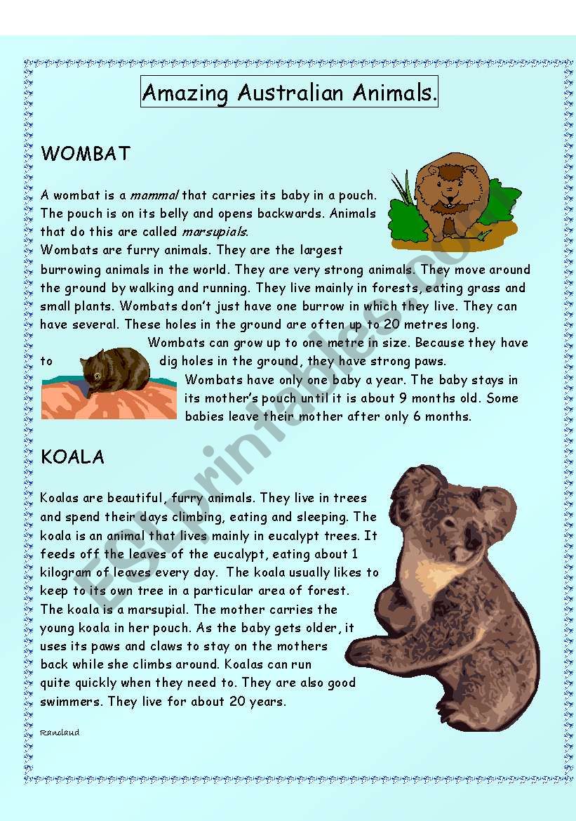 Amazing Australian Animals - Intermediate level - (( 14 pages )) - editable