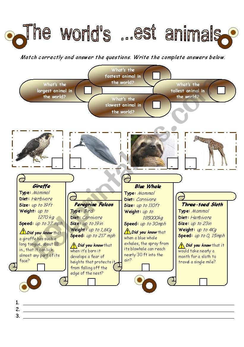 The worlds ...est animals worksheet