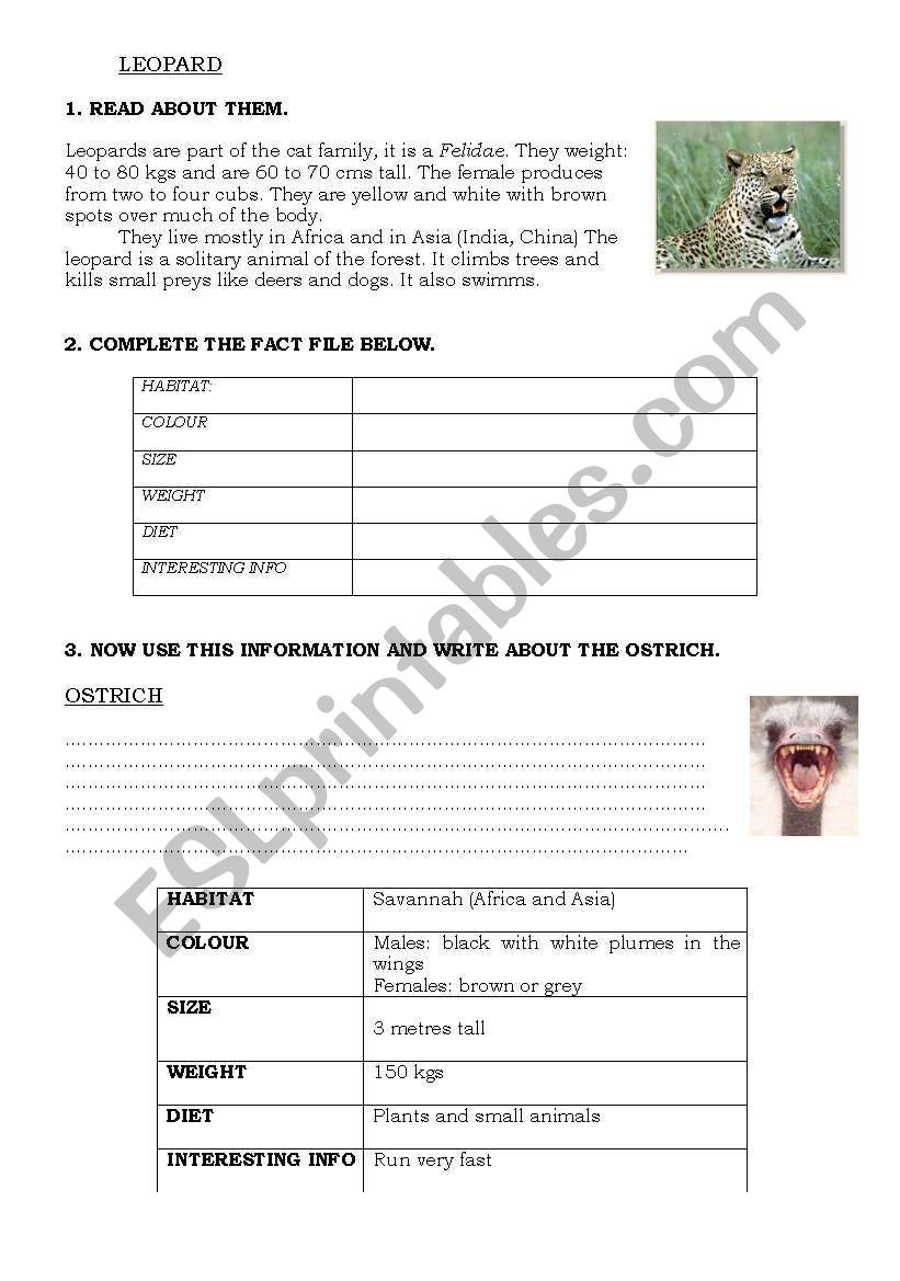 ANIMALS FACT FILE worksheet