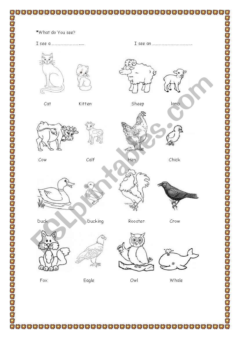 Animals worksheet