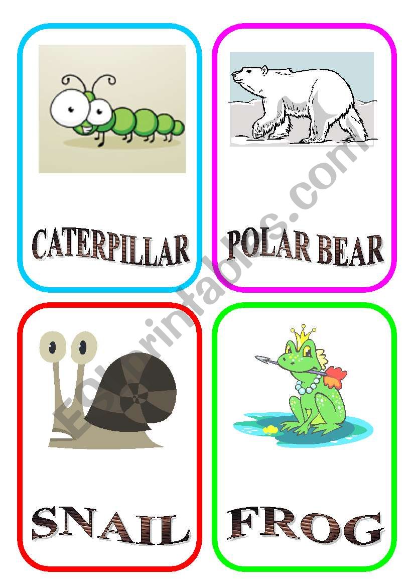 ANIMAL FLASH-CARDS - PART 5 worksheet