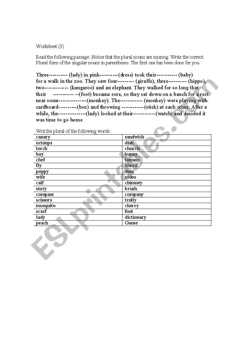 singular and plural worksheet