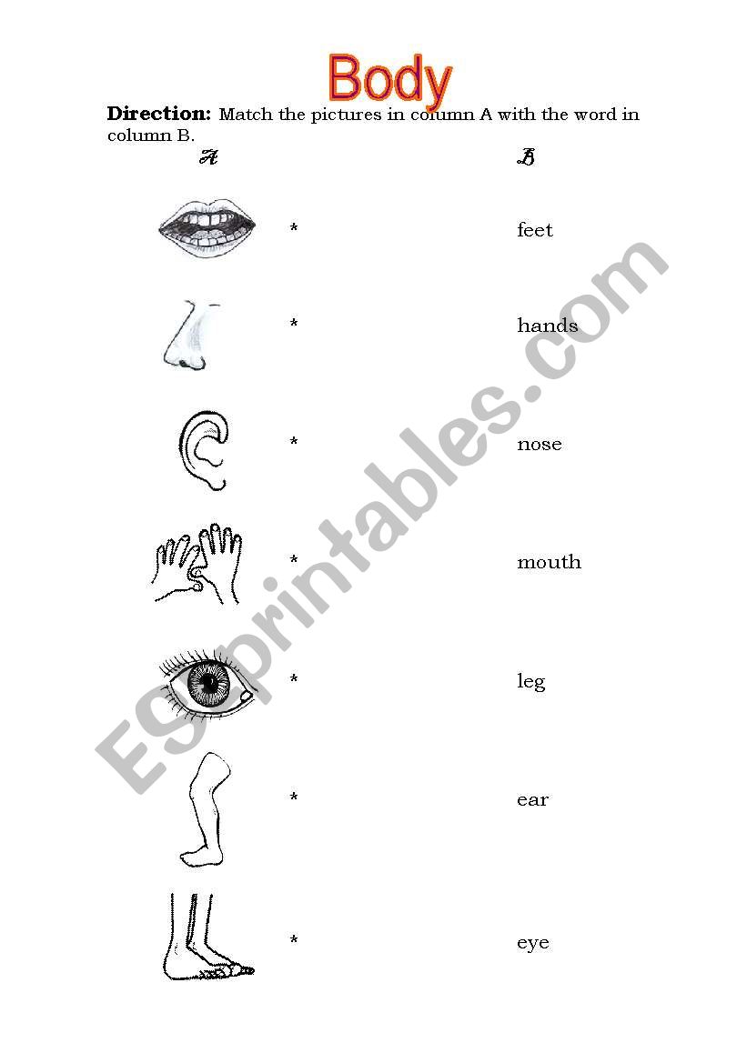 Body Parts worksheet