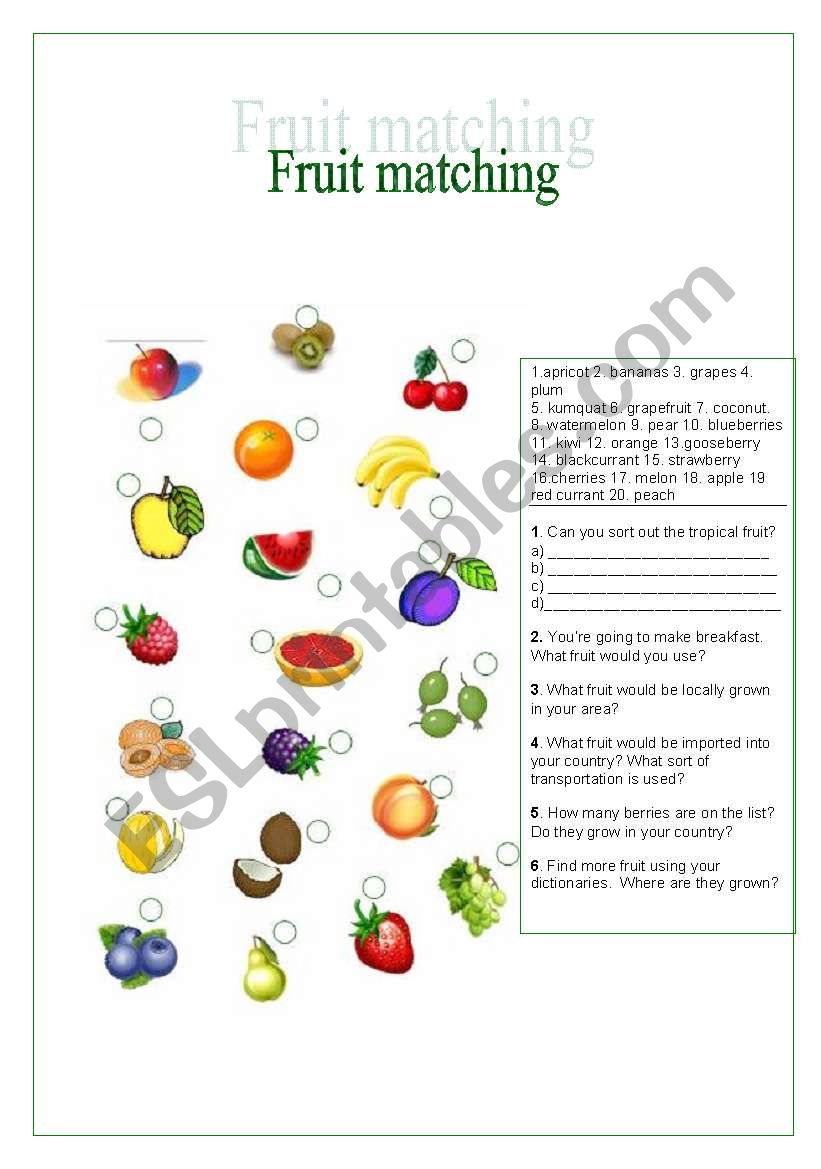 Fruit matching worksheet worksheet