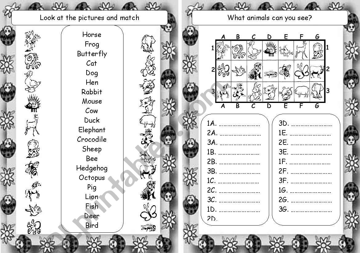 Animals worksheet