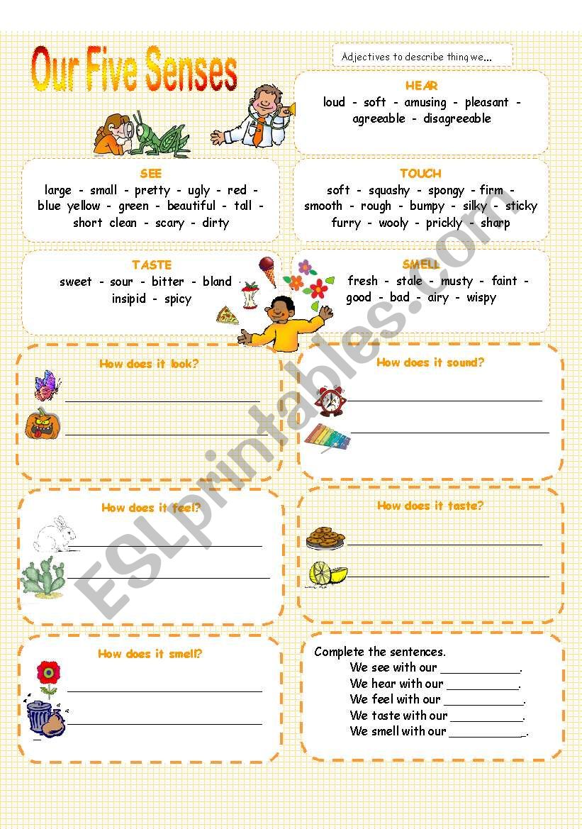 Five Senses - 3 pages worksheet