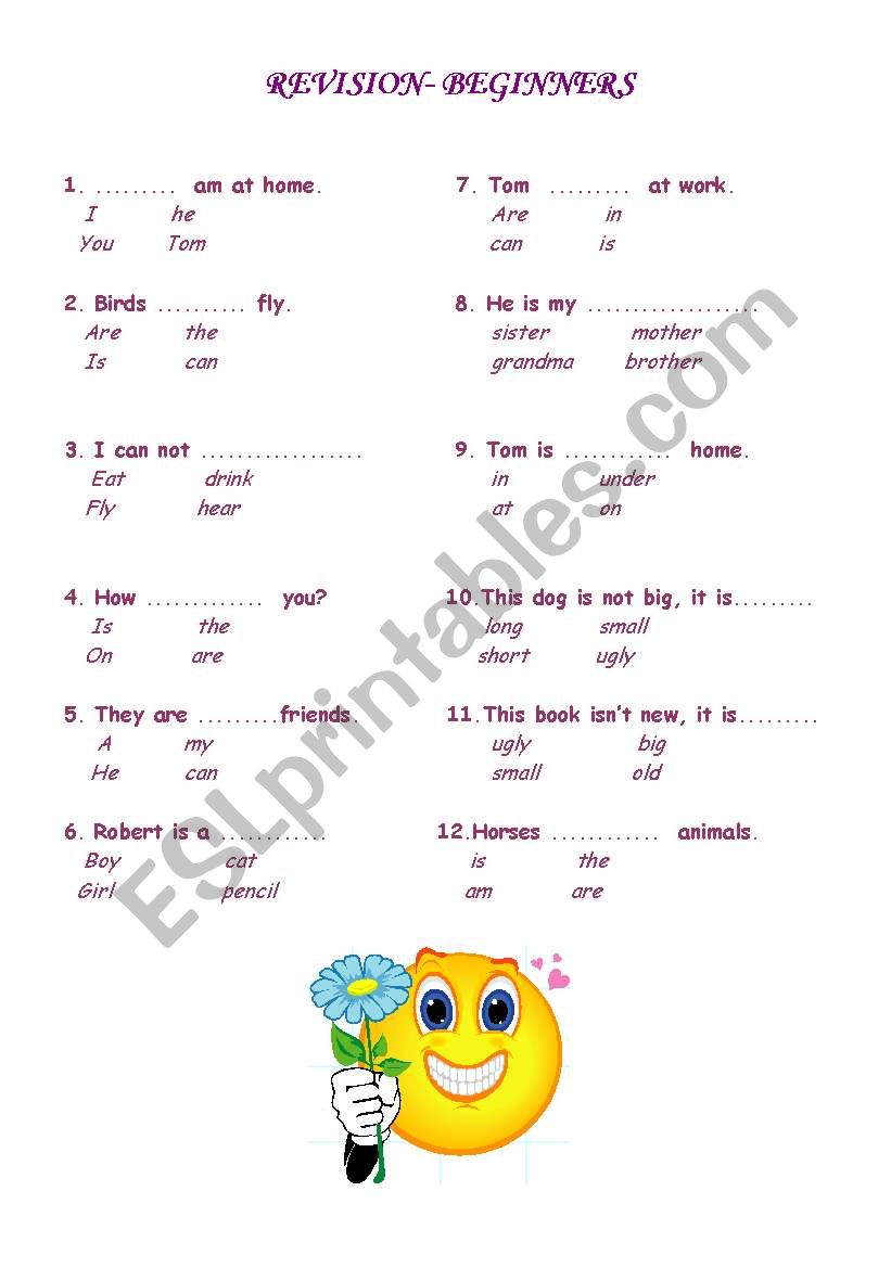 revision- beginners worksheet