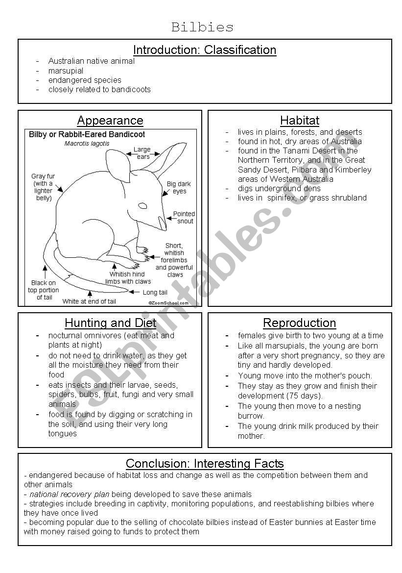 Bilbies worksheet