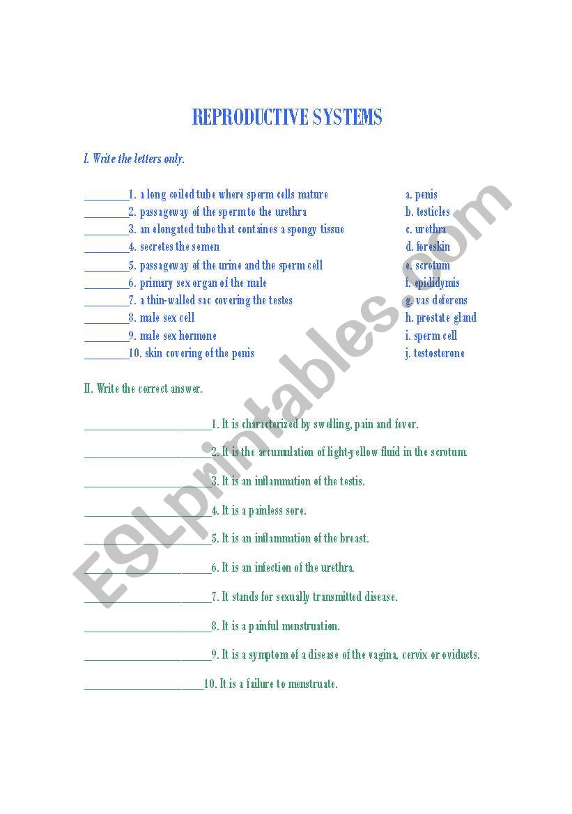 Reproductive System Matching Worksheet