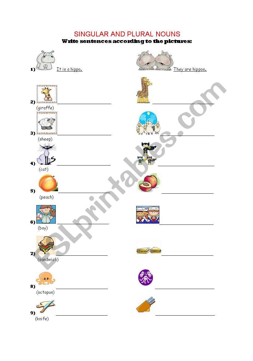 Singular & Plural Nouns worksheet