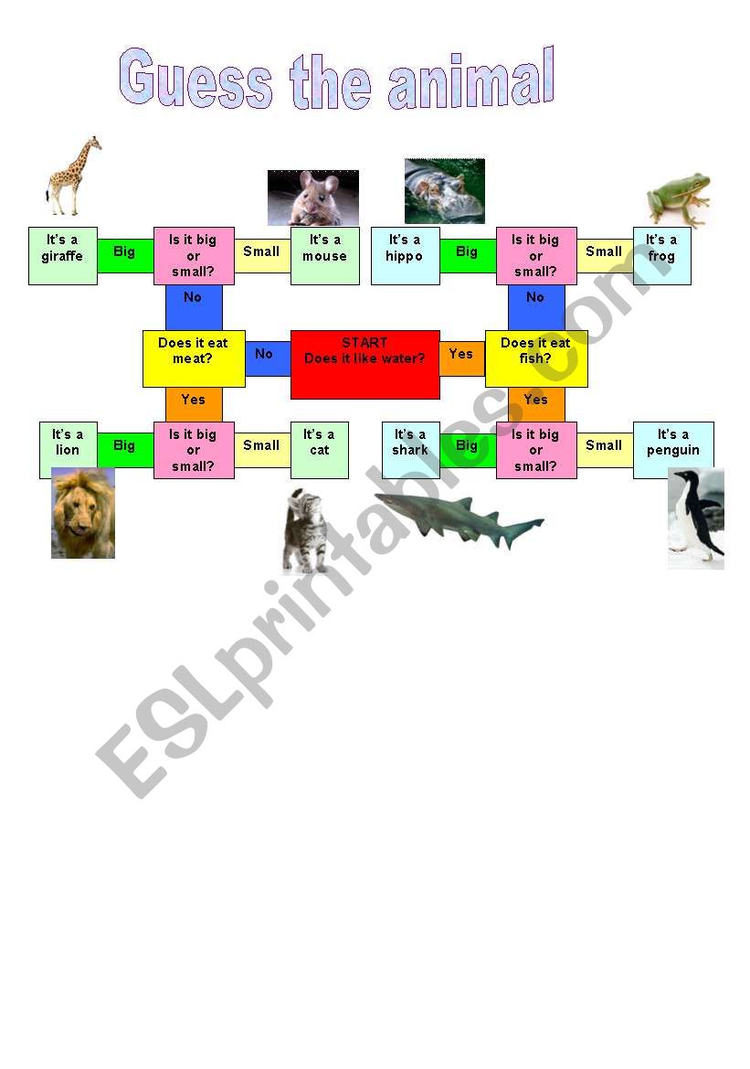 Guess the animal worksheet