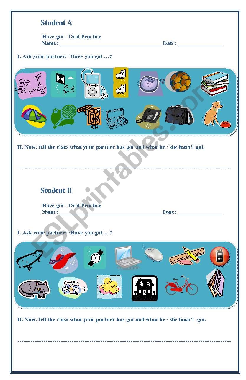WHAT HAVE YOU GOT? worksheet
