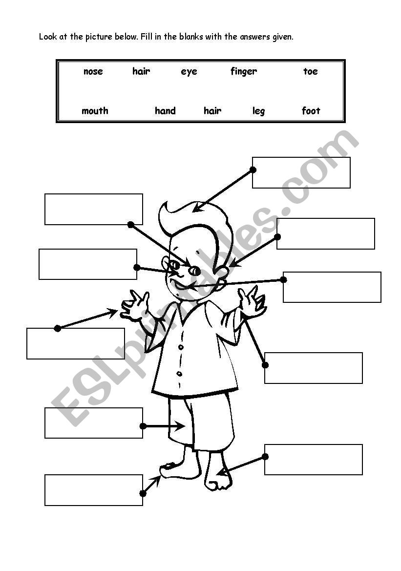 Body Parts worksheet