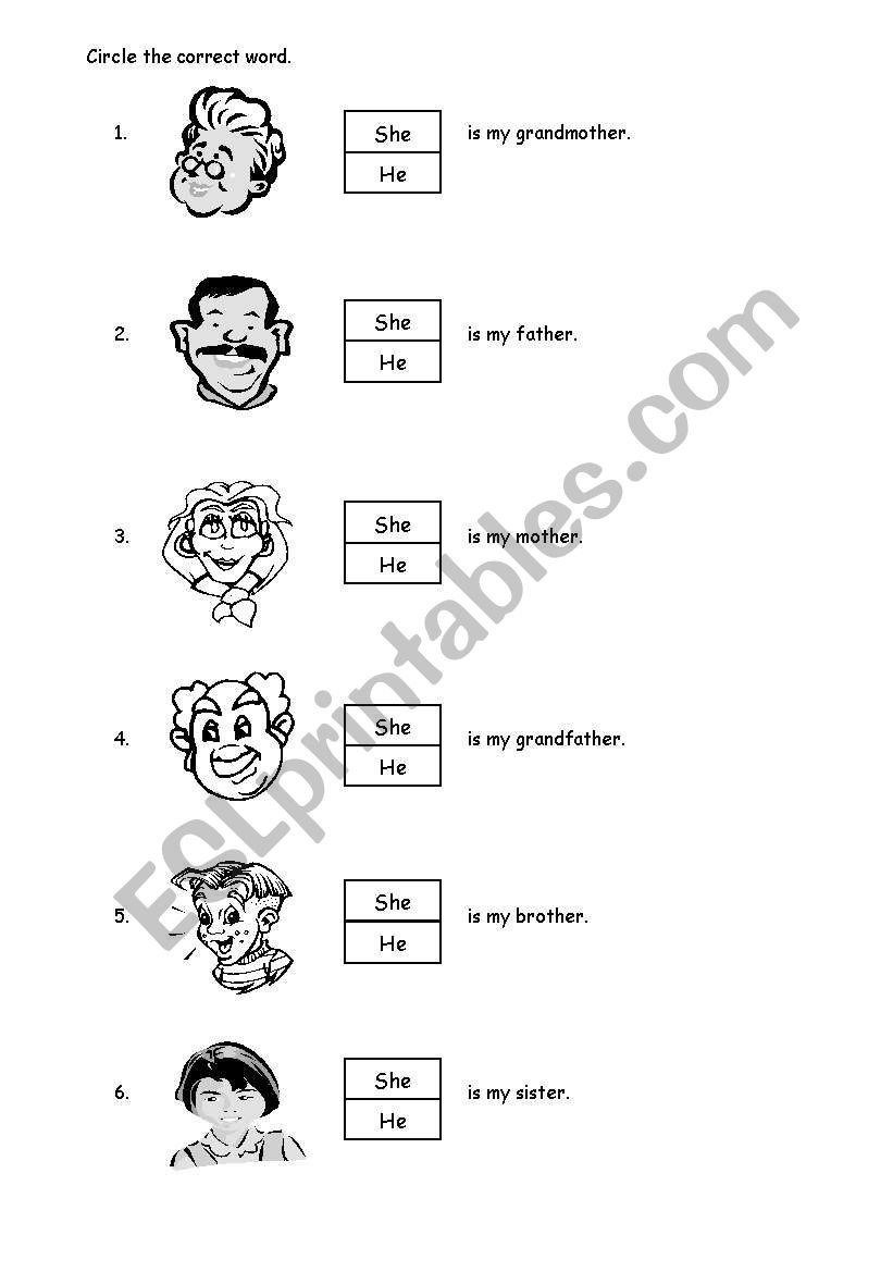 Gender worksheet