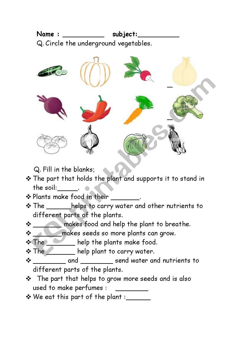 palnts worksheet