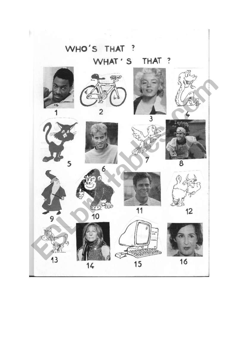 WHO / WHAT worksheet