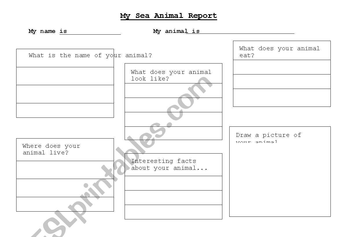 Australian Animal Report worksheet