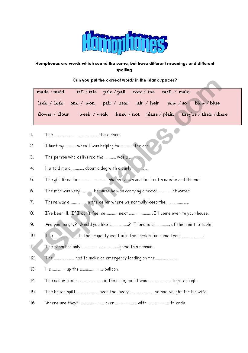 Fun with Homophones worksheet