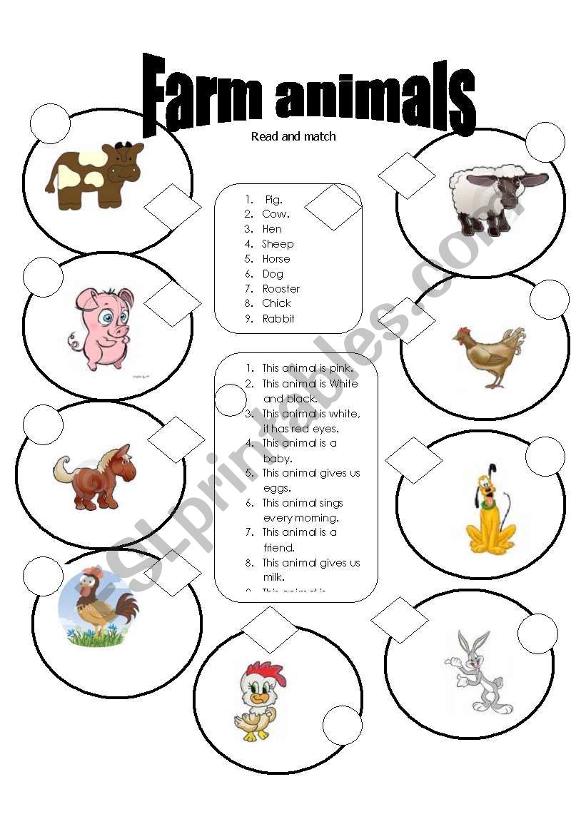 Farm animals worksheet